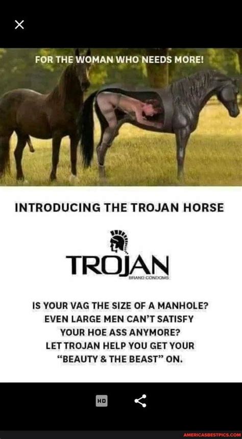 condom on horse